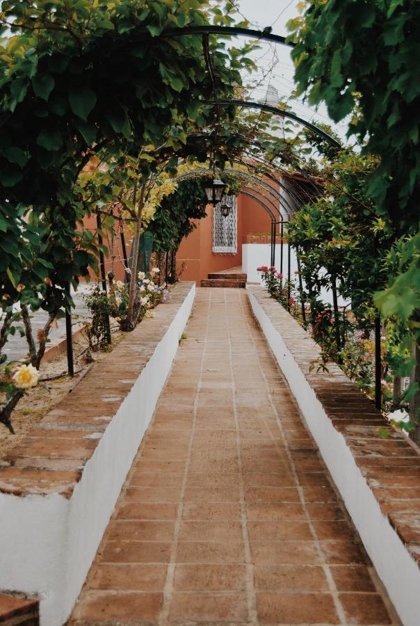 Quinta De Sao Pedro De Tomar Villa Eksteriør bilde