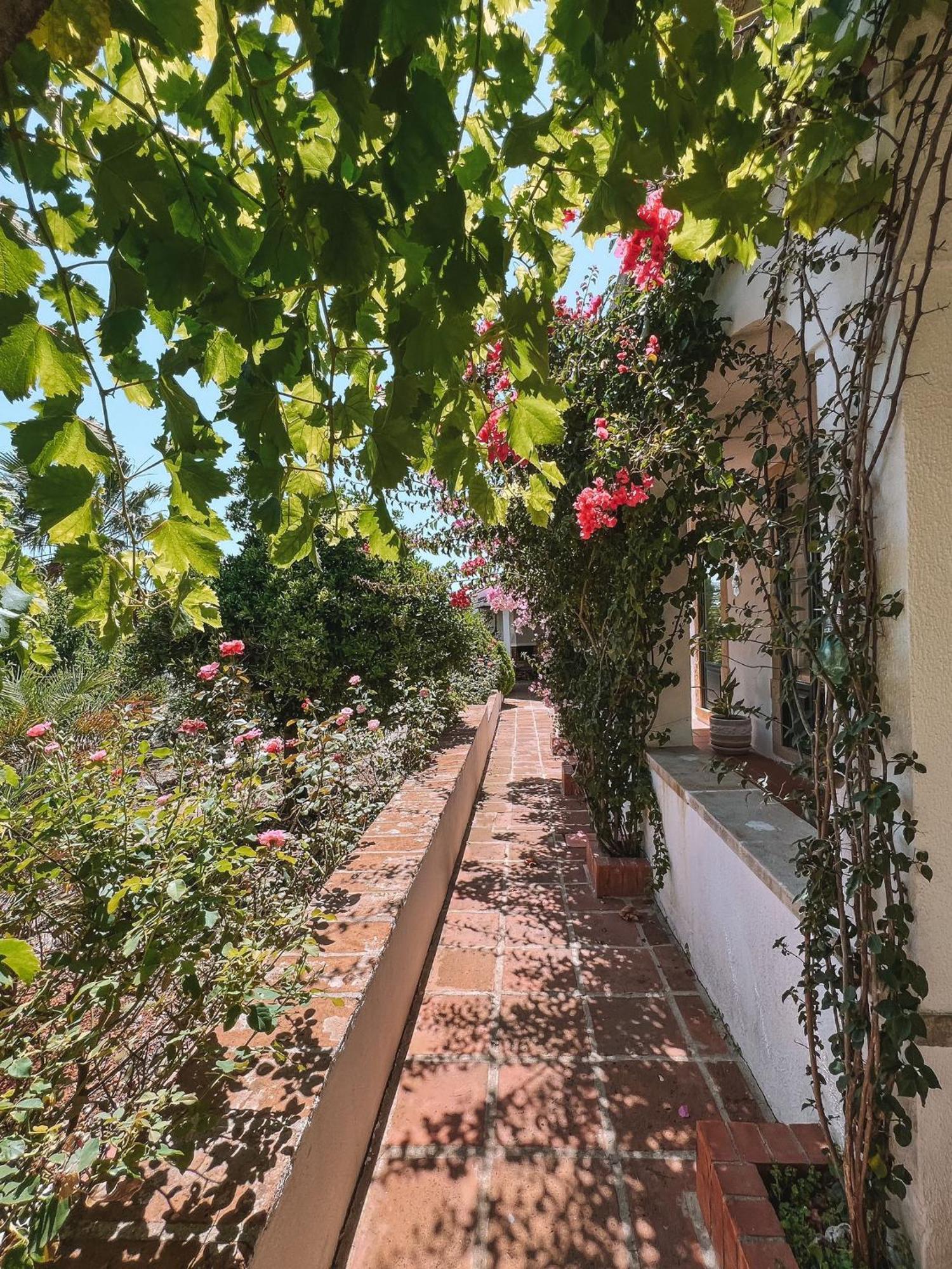 Quinta De Sao Pedro De Tomar Villa Eksteriør bilde
